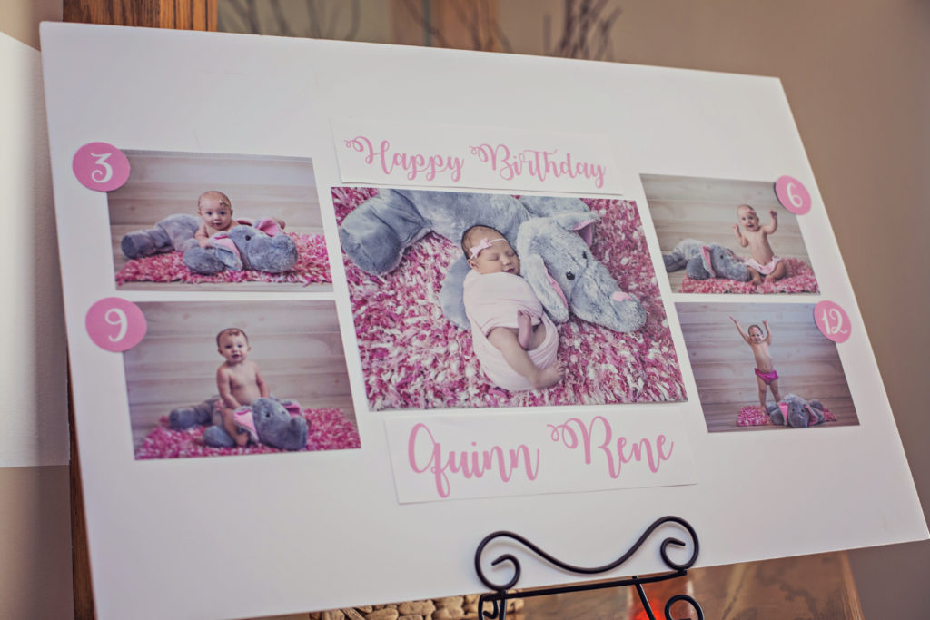 first year milestone picture display