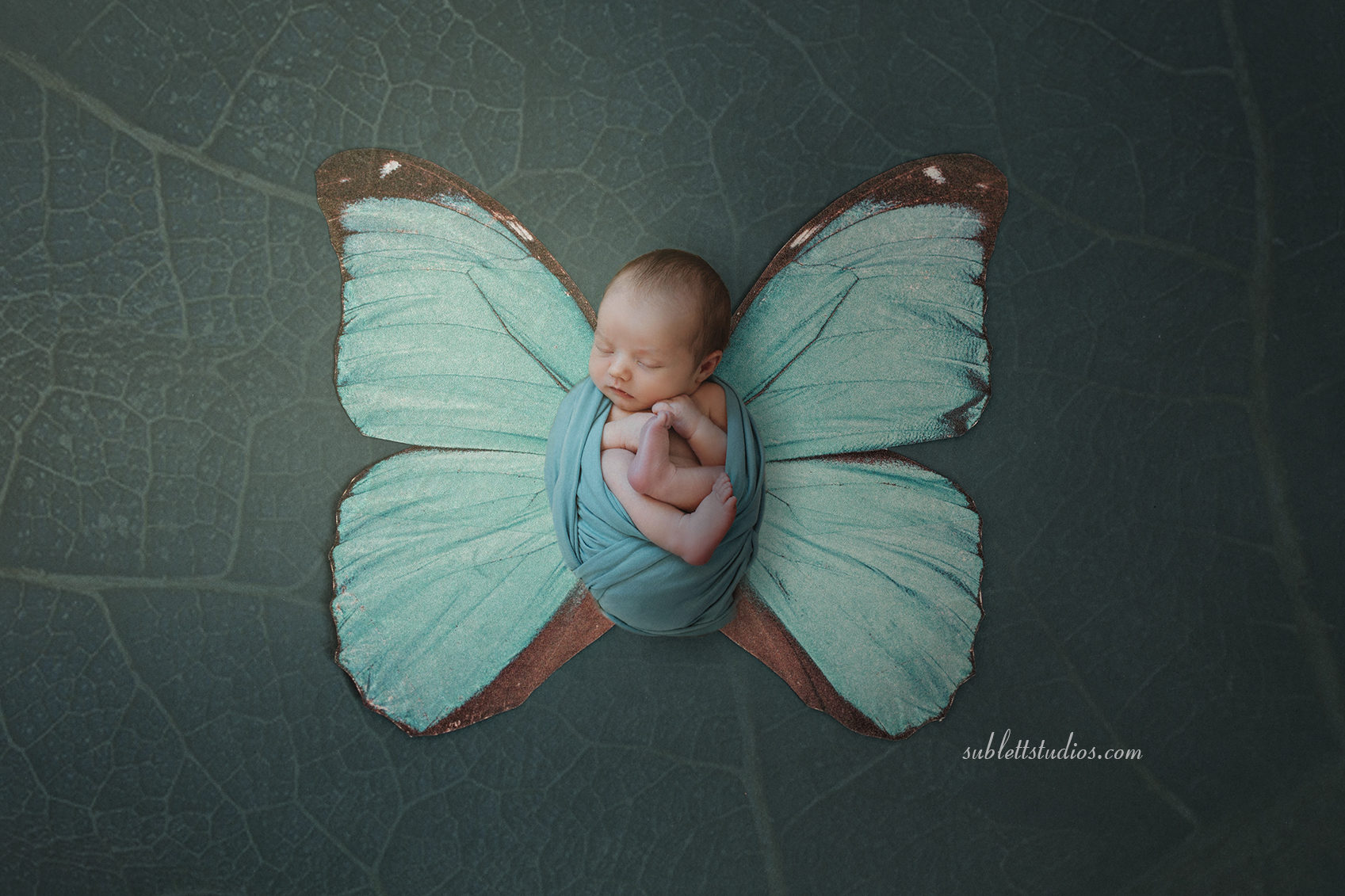 newborn boy with teal butterfly wings