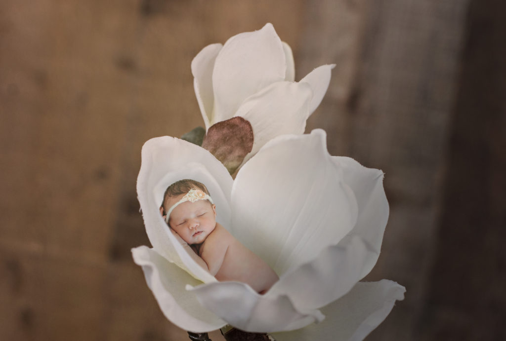 newborn girl settled in white flower