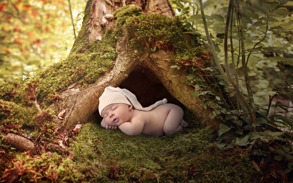 newborn boy laying on mossy tree